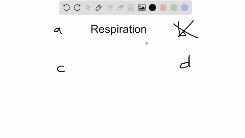what-is-the-purpose-of-cellular-respiration-a-to-get-mathrmo_2-into-our-bodies-and-to-get-mathrmco_2