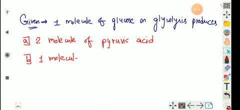 1-molecule-of-glucose-on-glycolysis-produces-a-2-molecule-of-pyruvic-acid-b-1-molecule-of-pyruvic-ac