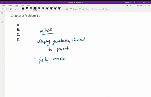 which-of-the-following-statements-correctly-identifies-a-key-difference-between-mitosis-and-meiosi-2