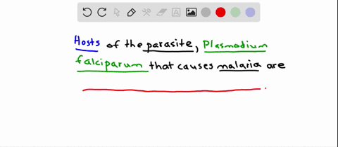 what-are-the-alternate-hosts-of-the-malarial-parasite-plasmodium-falciparum-a-humans-and-ticks-b-tic