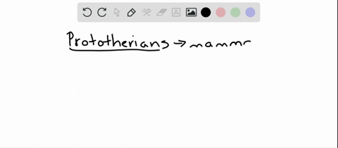 prototherians-differ-from-other-mammals-in-that-they-a-do-not-produce-milk-b-lack-body-hair-c-lay-eg