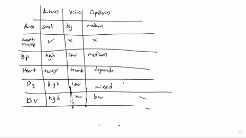 make-a-chart-that-compares-systemic-arterics-capillaries-and-systemic-veins-consider-the-following-p