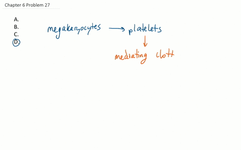 megakaryocytes-give-rise-to-a-basophils-c-monocytes-b-lymphocytes-d-platelets