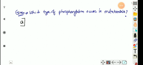 which-type-of-phosphorylation-occurs-in-mitochondria-a-oxidative-phosphorylation-b-substrate-level-p