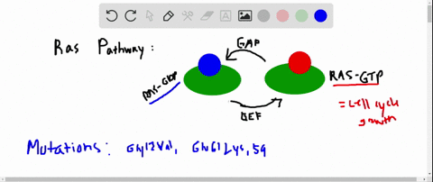 the-majority-of-the-c-ras-oncogenes-obtained-from-cancerous-tissues-have-mutations-in-codon-1259-or-