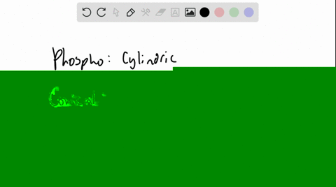 what-are-the-differences-between-a-phospholipid-molecule-and-a-detergent-molecule-how-would-the-stru