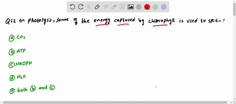 in-photolysis-some-of-the-energy-captured-by-chlorophyll-is-used-to-split-a-co2-b-atp-c-nadph-d-h2o-