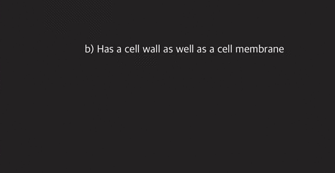 label-each-of-the-following-as-a-characteristic-of-a-prokaryote-or-a-eukaryote-a-dna-is-surrounded-b