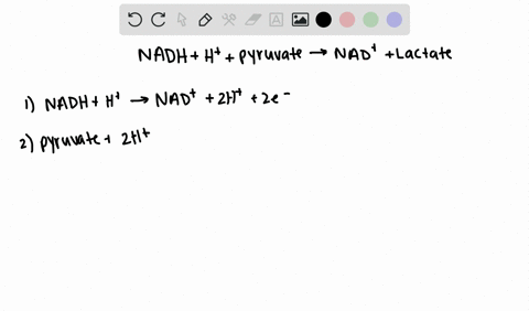 calculate-lcirc-prime-for-the-following-reaction-mathrmnadhmathrmhtext-pyruvate-rightarrow-mathrmnad