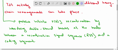 what-prevents-further-rearrangement-of-immunoglobulin-heavy-chain-gene-segments-in-a-pre-b-cell-once
