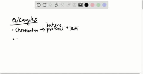 which-of-the-following-is-true-of-chromatin-in-prokaryotes-a-bacterial-chromosomes-are-not-organized