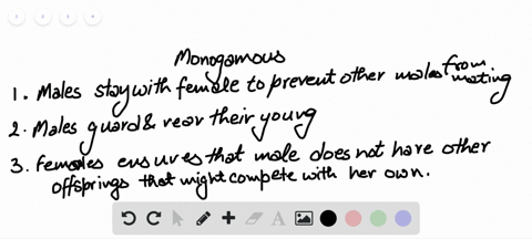 describe-an-advantage-of-a-monogamous-relationship-a-having-a-lot-of-males-around-to-provide-assista