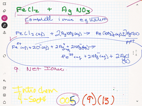 write-the-net-ionic-equation-for-the-reaction-of-mathrmfecl_2mathrmaq-and-mathrmagno_3mathrmaq-you-m