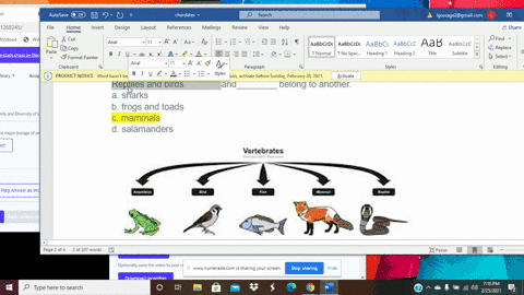 reptiles-and-birds-belong-to-one-major-lineage-of-amniotes-and________-belong-to-another-a-sharks-b-