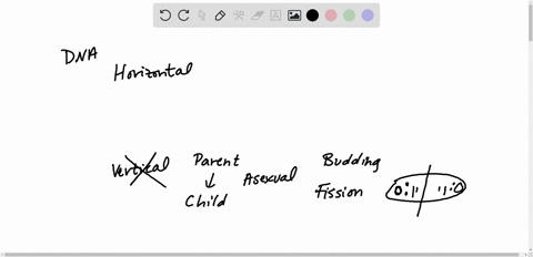 bacteria-transfer-plasmids-by-______________-a-prokaryotic-fission-b-transformation-c-conjugation-d-