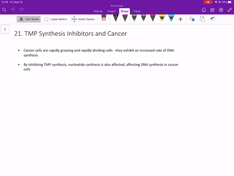 why-are-cancer-cells-especially-sensitive-to-inhibitors-of-tmp-synthesis