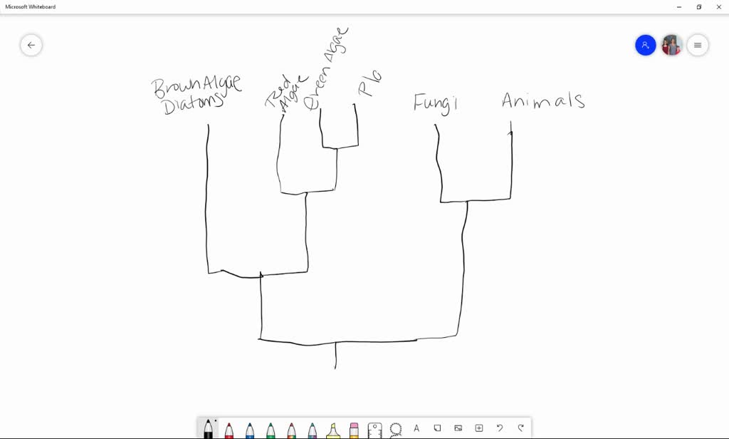 SOLVEDThe closest relatives of Chara and other charophytes are the . a