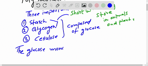 name-three-polysaccharides-that-are-composed-of-units-of-p-glucose-in-which-polysaccharide-are-the-g