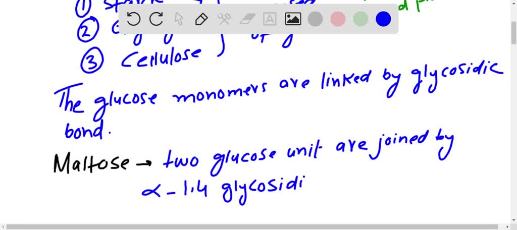 animal polysaccharide composed of glucose units