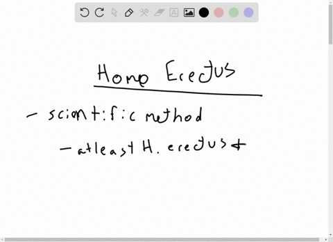 some-scientists-now-think-that-fossils-identified-as-homo-erectus-represent-which-two-different-sp-4