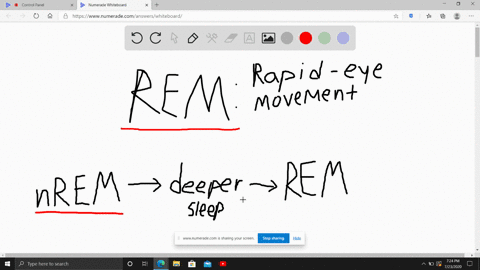 as-the-sleep-cycle-evolves-through-the-night-people-tend-to-a-spend-more-time-in-rem-sleep-and-less-
