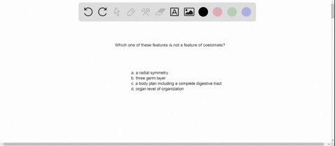 which-of-the-following-is-not-a-feature-of-a-coelomate-a-radial-symmetry-b-three-germ-layers-c-a-bod