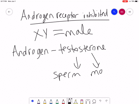 how-would-mutations-that-completely-ablate-the-function-of-the-androgen-receptor-impact-the-phenotyp