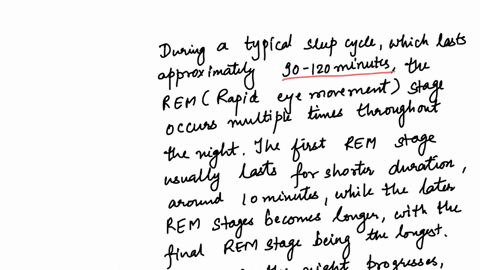 during-sleep-we-pass-through-a-cycle-of-five-stages-each-with-characteristic-brain-waves-as-the-nigh