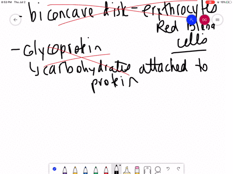 a-molecule-of-hemoglobin-____________-a-is-shaped-like-a-biconcave-disk-packed-almost-entirely-with-