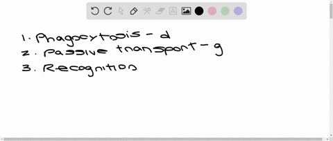 match-the-term-with-its-most-suitable-description-_______-phagocytosis-_______-passive-transport-___