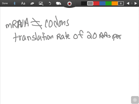 controlling-the-rates-of-transcription-and-translation-is-important-in-bacteria-to-avoid-collisions
