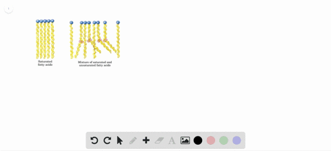 how-would-an-organism-maintain-membrane-fluidity-in-an-environment-where-temperatures-fluctuated-fro