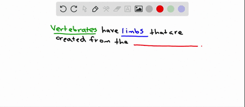 the-limbs-of-vertebrates-are-formed-from-a-the-endoderm-c-the-ectoderm-b-the-mesoderm-d-all-of-the-a