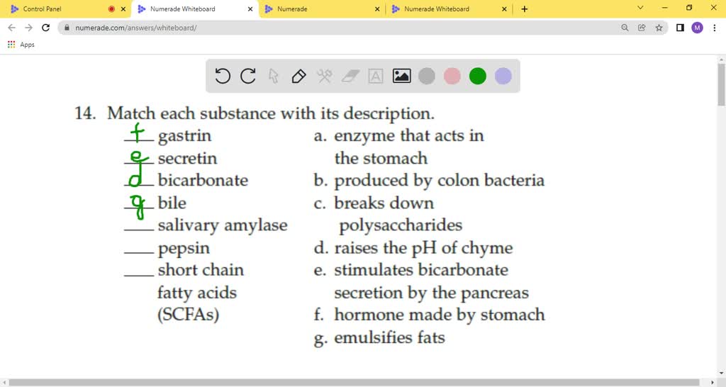 SOLVEDMatching Match the following with the correct definition