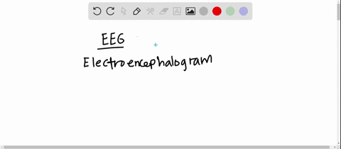 eegs-detect-________-a-sodium-concentration-b-changes-in-blood-flow-c-electrical-activity-d-glucose-