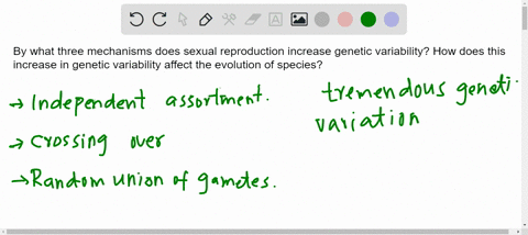 by-what-three-mechanisms-does-sexual-reproduction-increase-genetic-variability-how-does-this-increas