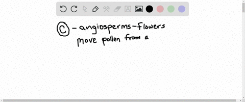 pollinators-aid-many-________-a-conifers-b-mosses-c-angiosperms-d-ferns