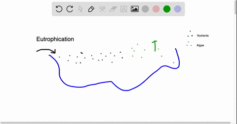 eutrophication-is-a-caused-by-an-overabundance-of-nitrogen-which-leads-to-an-increase-in-bacteria-po