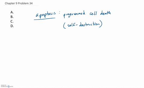 which-describes-apoptosis-a-occurs-in-all-cells-b-is-a-programmed-cell-death-c-disrupts-the-normal-d