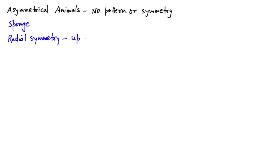 SOLVED:The Below Figure Shows Which Type Of Symmetry (a) Bilateral (b ...