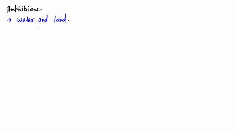 find-out-the-incorrect-matching-a-reptiles-chelone-testudo-chameleon-b-aves-psittacula-aptenodytes-n