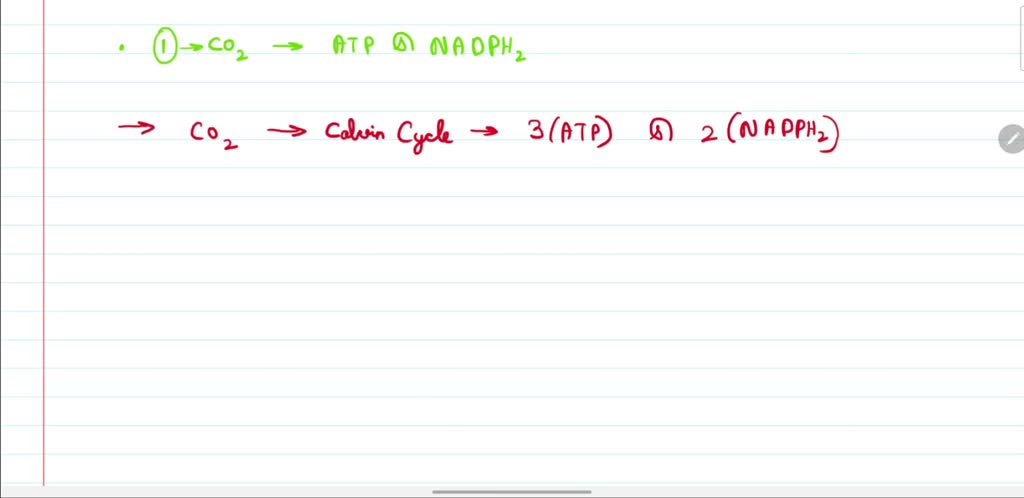 Solveda How Many Additional Atp Equivalents Are Required To