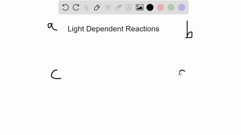 the-light-dependent-reactions-of-photosynthesis-a-produce-atp-and-nadph-and-occur-in-the-thylakoid-m