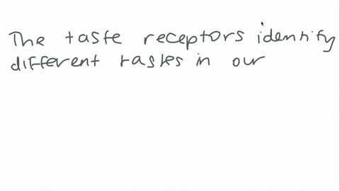 differentiate-between-human-olfactory-and-taste-receptors