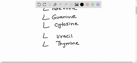 in-rna-which-base-would-be-paired-with-the-base-listed-a-adenine-b-guanine-c-uracil-d-cytosine