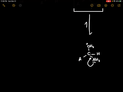 alpha-amino-acids-can-be-prepared-by-treating-an-aldehyde-with-ammoniatrace-acid-followed-by-hydroge