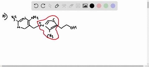 thiamin-or-vitamin-mathrmb_1-contains-a-positively-charged-five-membered-nitrogen-sulfur-heterocycle