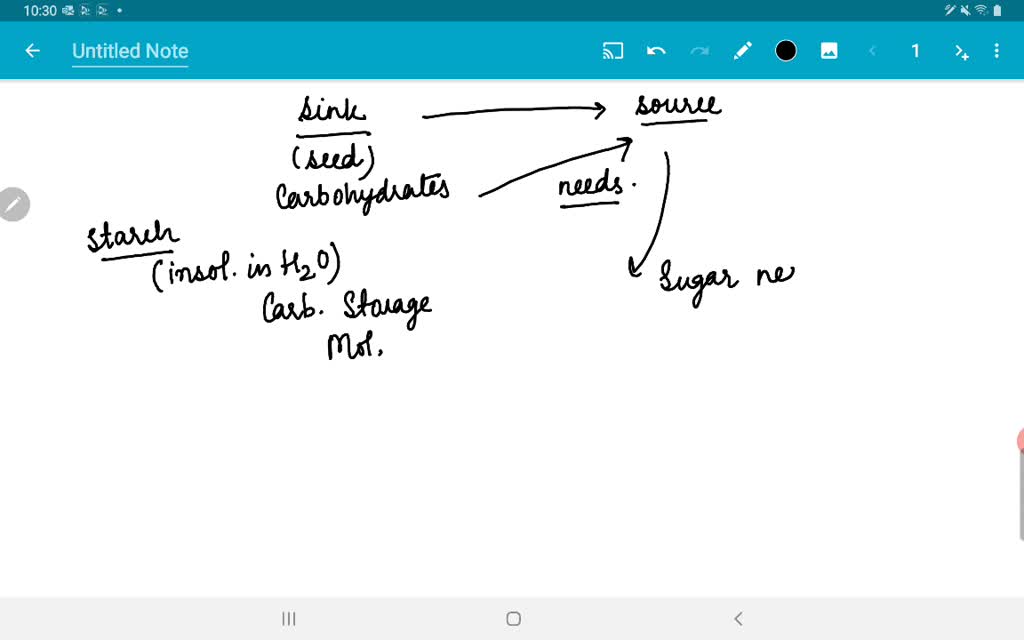 solved-a-seed-is-a-sink-when-it-is-forming-inside-the-parent-plant-when-is-it-a-source