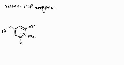 the-enzyme-that-catalyzes-the-c_alpha-c_beta-bond-cleavage-reaction-that-converts-serine-to-glycine-