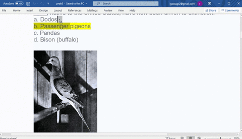 ____-native-to-the-united-states-have-now-been-driven-to-extinction-a-dodos-b-passenger-pigeons-c-pa
